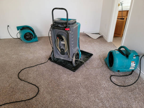 Best Water damage mitigation services  in Troup, TX