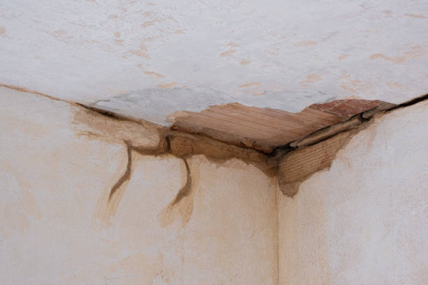 Best Water damage restoration near me  in Troup, TX