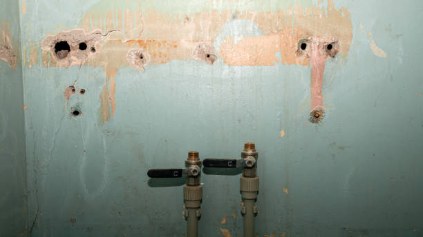 Best Water damage cleanup near me  in Troup, TX