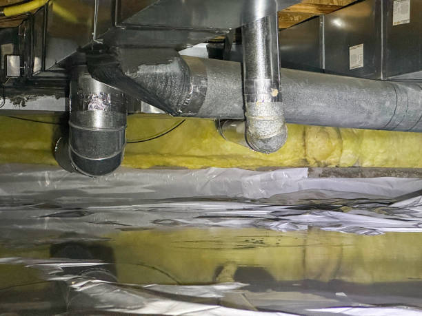 Best Carpet water damage restoration  in Troup, TX