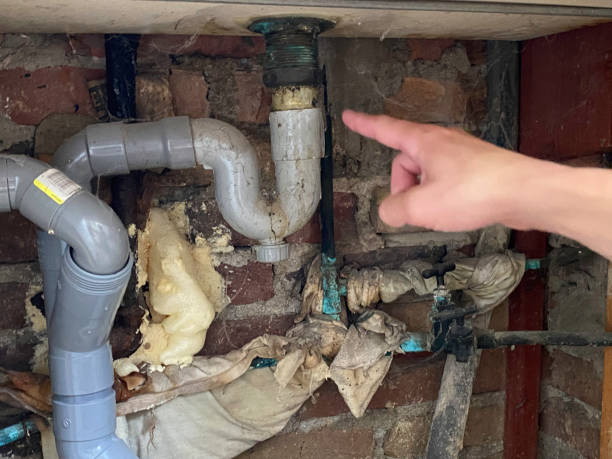 Best Water damage restoration process  in Troup, TX