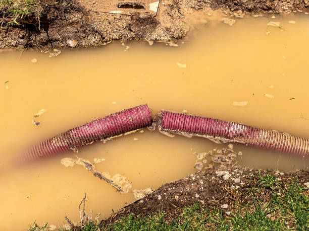 Best Local water damage restoration  in Troup, TX