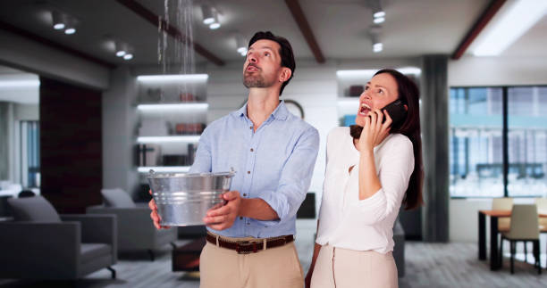 Best Mold removal after water damage  in Troup, TX