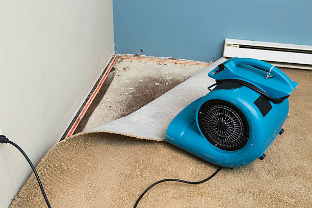 Best Flooded house restoration  in Troup, TX